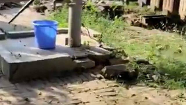 ▶️.....बुलंदशहर- दानपुर ब्लॉक के जिरौली विद्युत उपकेंद्र परिसर में दो लंबे सांपों का जोड़ा आपस में लिपटा हुआ दिखाई दिया। स्थानीय लोग इसे 