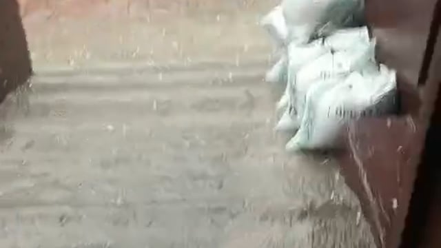 नौहझील क्षेत्र में किसानों पर आफ़त बन कर आयी बारिश ओलावृष्टि किसानों की मूँग की फसल पूरी तरह बर्बाद 