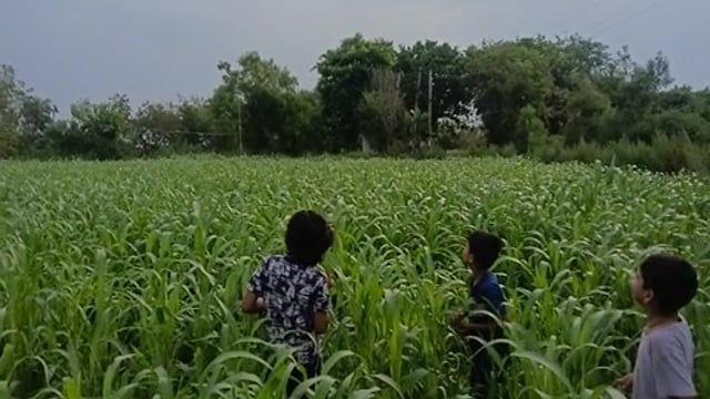 गाँव के बच्चे पतंग का आनंद लेते हुए 
