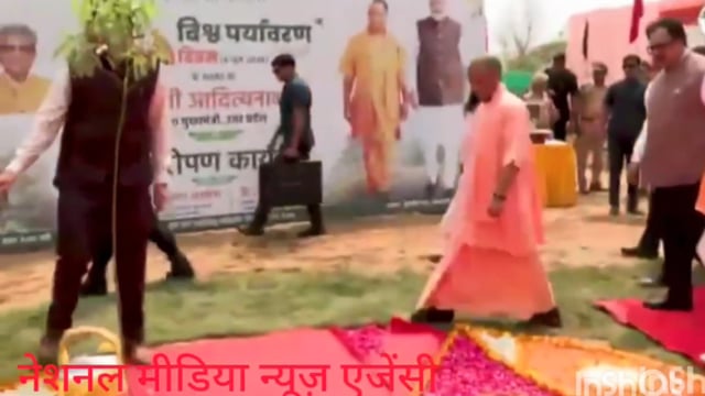 हर पेड़ एक जिंदा कहानी, हर पत्ता प्रकृति की मुस्कान। जितनी हरियाली हमारे पास होगी उतना ही हमें स्वस्थ और सुखद जीवन मिलेगा।