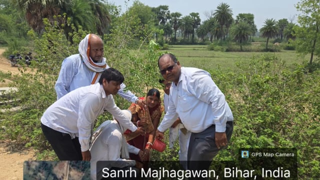 विश्व पर्यावरण दिवस पर सिरदला प्रखंड में पधारोपण  कार्यक्रम आयोजित