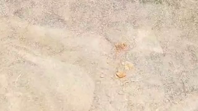 गिरिडीह प्रखंड विकास पदाधिकारी द्वारा विश्व पर्यावरण दिवस पर अहम जानकारी #Giridih 