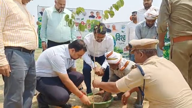 विश्व पर्यावरण दिवस पर जिलाधिकारी ने किया वृक्षारोपण