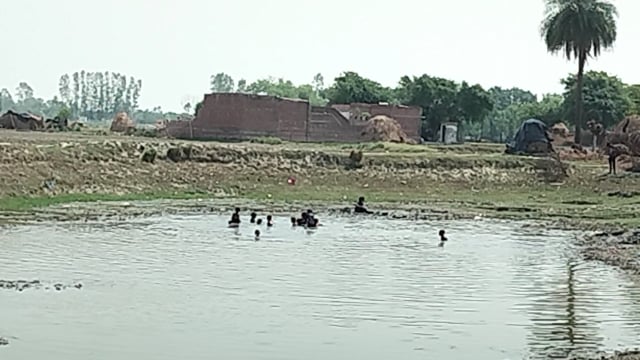 गर्मी में तालाब का आनंद लेते ग्रामीण

शाहजहाँपुर के ग्रामीण क्षेत्रों में भीषण गर्मी से राहत पाने के लिए बच्चे और युवा तालाबों में स्नान कर आनंद लेते नजर आए। तालाबों में मस्ती करते ग्रामीणों ने गर्म मौसम के बीच प्राकृतिक जल स्रोतों का भरपूर आनंद उठाया। यह दृश्य गांव के पारंपरिक जीवन, आपसी मेलजोल और प्रकृति से जुड़ाव को दर्शाता है, जहां लोग गर्मी से राहत के साथ मनोरंजन का भी आनंद ले रहे हैं।