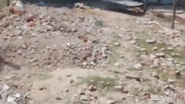 नवाबगंज। बेटा निकला कपूत, लगाई अपने पिता की लकड़ी के सामान की दुकान में आग, लाखों का माल जला 