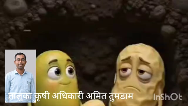 तालुका कृषी अधिकाऱ्यांचा शेतकऱ्यांना सल्ला तरुण शेतकरी अभिषेक मडावी यांनी दिला जनजागृतीचा संदेश 