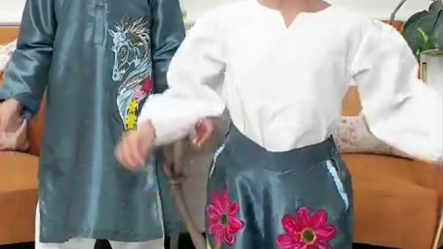 Video 1