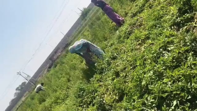 3 लाख में खरीदी जमीन 35 लाख में लौटाई रकम, फिर भी नहीं मिली कब्जेदारी