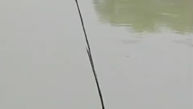 *जौली गंगनहर में फिर दिखा एक व्यक्ति का शव, शिनाख्त के प्रयास जारी