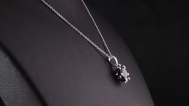  Video Photo 