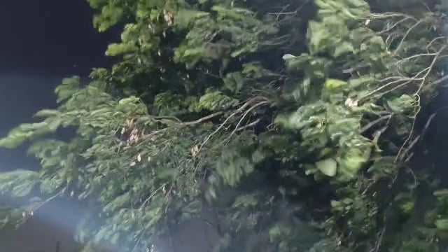 उदगीर शहरासह परिसरात जोरदार वादळी वाऱ्यासह हलक्या स्वरूपाचा पाऊस