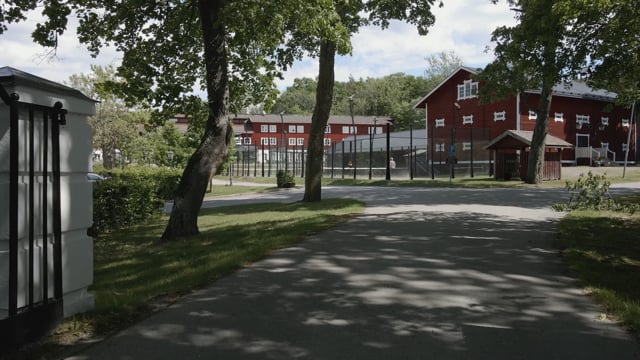 bakgrund