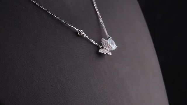  Video Photo 