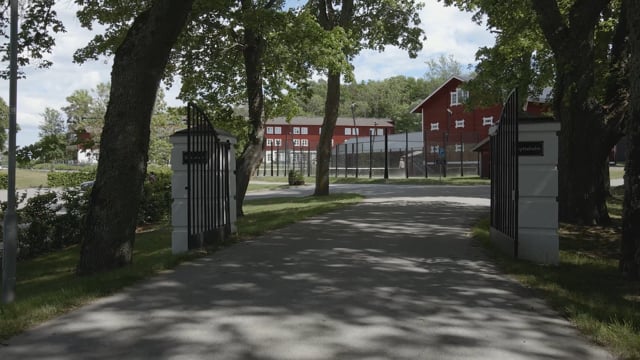 bakgrund