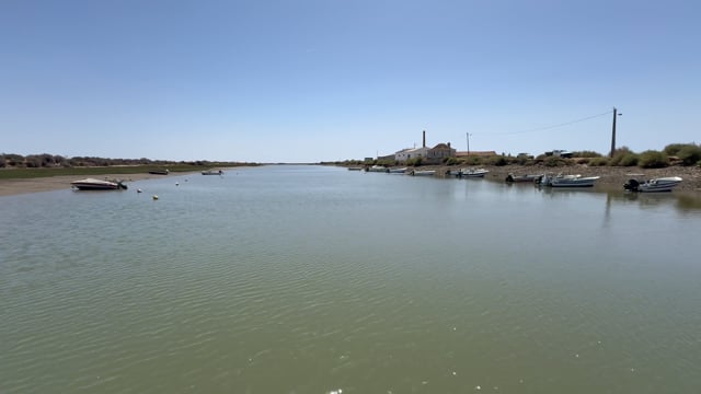 Virtual Rowing - Tavira, Portugal