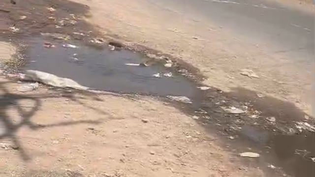 टघजक्कफदफ 