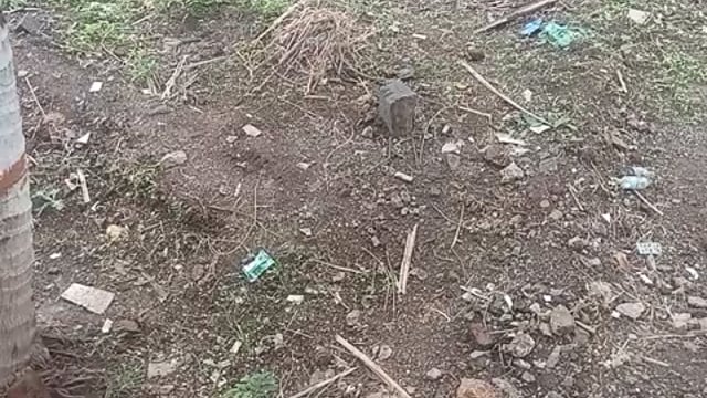 कोरडी जमीन 
