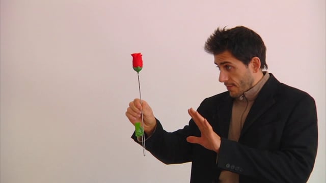 Video Torch to Rose - Plus