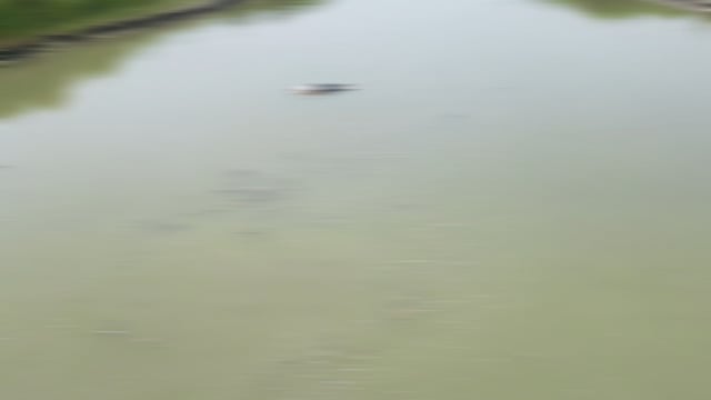 संग्रामगढ़ थाना अंतर्गत खनवारी नहर मे अज्ञात युवक की लाश बहते हुए देखने पर लोगों में मचा हड़कंप