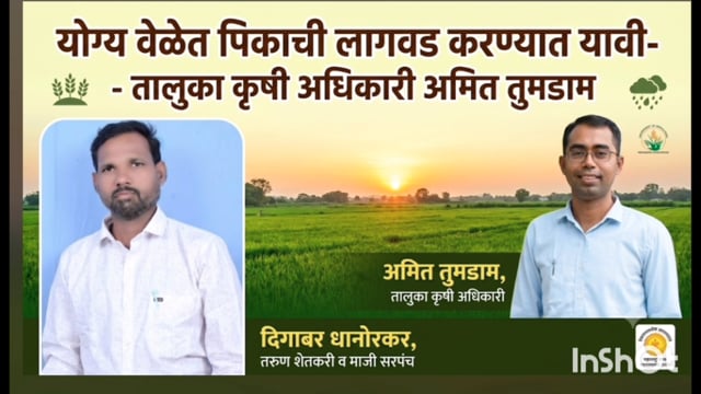 वेलतूर तुकूम तरुण शेतकरी व माजी सरपंच दिगाबर धानोरकर यांना कृषी अधिकाऱ्यांच्या वेळेत पेरणीचा सल्ला 