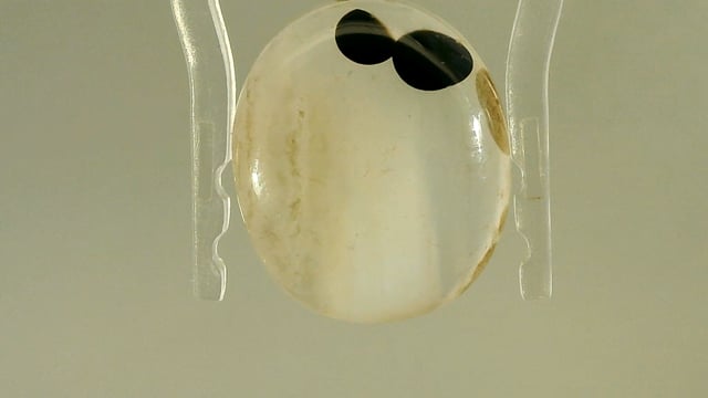 Video 1