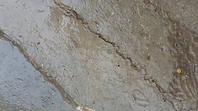 शाहजहांपुर में हल्की सी बारिश में पानी नाली का रोडो पर बहने लगा नालियों की सफाई न होने के कारण नालियां चौक हो गई जिसकी वजह से हल्की सी बारिश की वजह से पानी रोड़ों पर बहने लगा