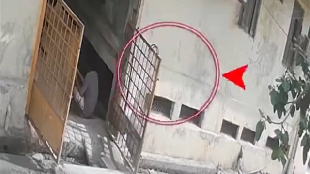 वृंदावन बंदरों को खाना खिला रही लड़की छत से गिरी हुई मौत पूरा मामला सीसीटीवी में