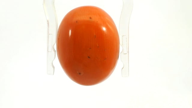Italian Laal Moonga 17.79 Carats — video
