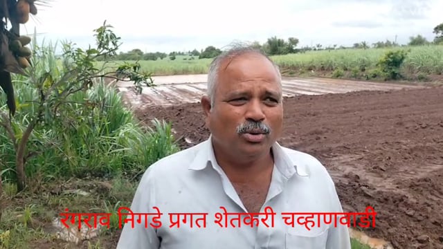 कोल्हापूर जिल्ह्यातील संतत धार धुवांधार कोसळणारा पाऊसामुळे शेतीची मशागत कामे करण्यात व्यस्त.