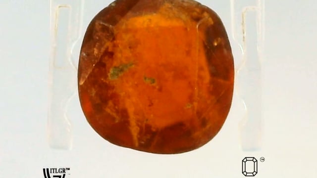 Video 1