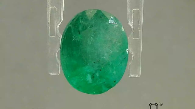 Video 1