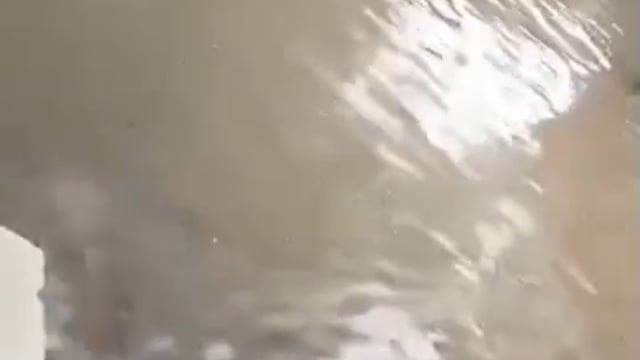 शाहजहांपुर नगर निगम में बारिश का पानी भरा