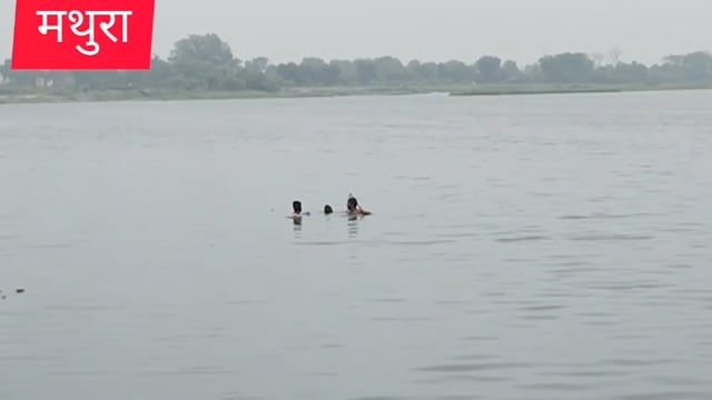 मथुरा यमुना में कूदी युवती ग्वाले ने बचाई जान नगर निगम के गोताखोर मौके से नदारद 