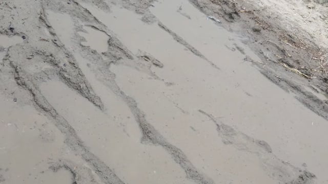 कीचड़ में सिमटी ग्रामीणों की राह, रिक्खीपुरवा का मुख्य मार्ग बदहाल, स्कूली बच्चों व ग्रामीणों का निकलना हुआ मुश्किल
