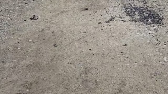 निहालीपुरवा सड़क निर्माण में मानकों की अनदेखी, ग्रामीणों ने जताई नाराजगी