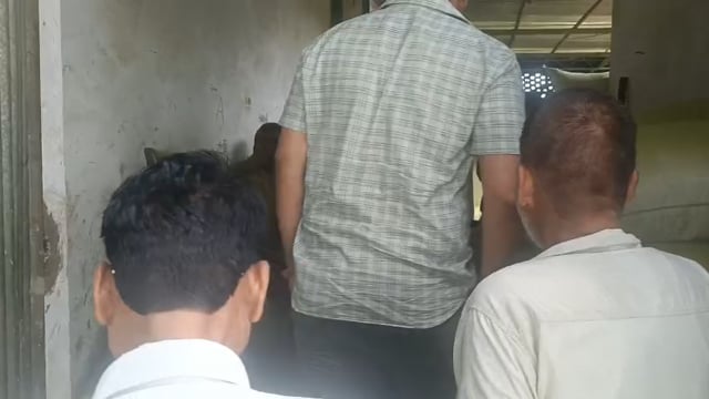 घटिया सॉस में मिला सिंथेटिक रंग, खाद्य विभाग का बड़ा एक्शन छापेमारी में 40 क्विंटल सॉस सीज, 2.80 लाख माल बिक्री से रोका 