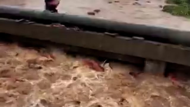 महाराष्ट्र - रायगढ़ जिले में लगातार हो रही भारी बारिश के कारण एक एलपीजी बॉटलिंग प्लांट में बाढ़ का पानी भर गया। बाढ़ के तेज बहाव में करीब 3,000 गैस सिलेंडर पातालगंगा नदी में बह गए। प्रशासन और संबंधित एजेंसियां सिलेंडरों का पता लगाने और स्थिति पर नियंत्रण के लिए अभियान चला रही हैं।