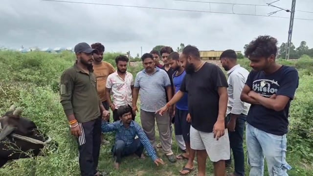 बंजरिया गोवंश पशु को पीटने से रोकने पर युवक को धमकाने का आरोप, थाने में दी तहरीर