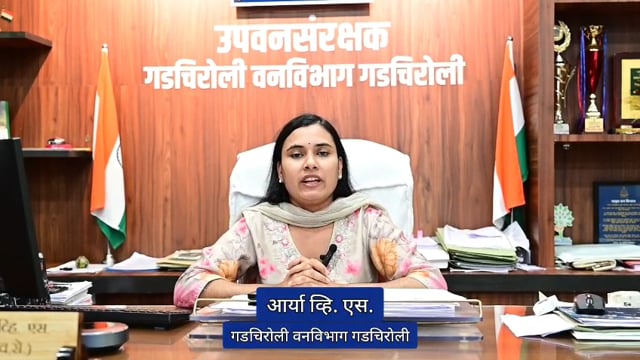 पिछले कुछ दिनों से जंगली हाथियों की आवाजाही लगातार बनी हुई है। वनविभाग