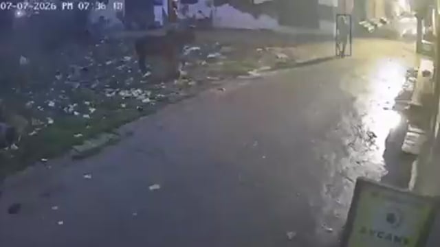 नई दिल्ली के रोहिणी में इस सांड का आतंक लोगों में पनप गया है