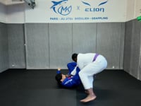 Shin slice x pass high step top spin