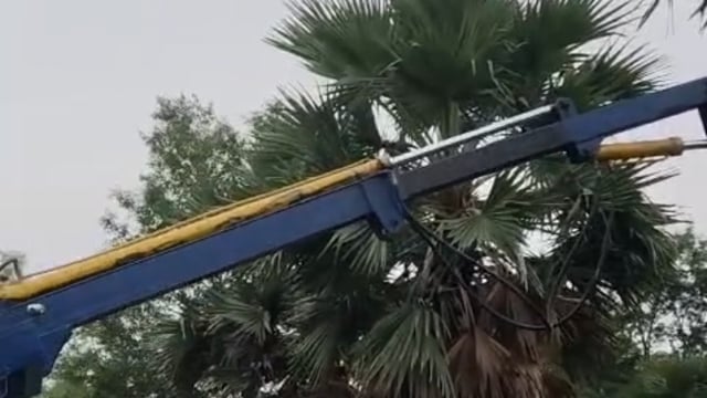 पेड़ों की छटाई होने से बिजली आपूर्ति रही बाधित उपभोक्ता रहे परेशान