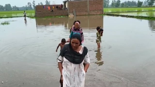 गांव डूडा कुछ घंटों की बारिश से जलमग्न, कई घरों में घुसा पानी लोग परेशान