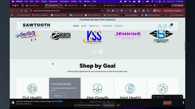Sawtooth Core — Feature Walkthrough