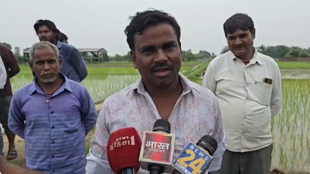 सड़क नहीं तो वोट नहीं सिद्धार्थनगर में ग्रामीणों का अनोखा प्रदर्शन सड़क पर की धान की रोपाई