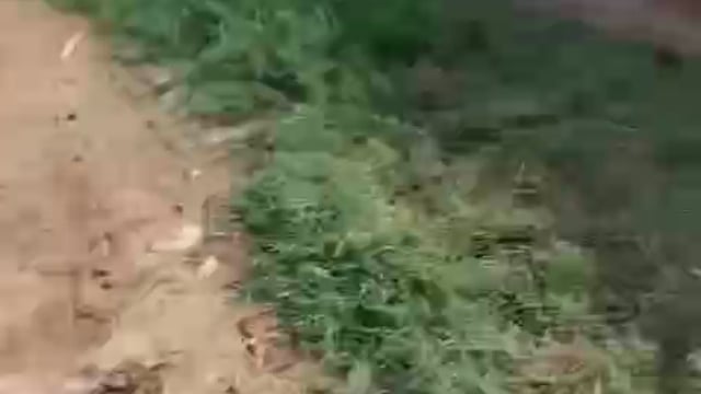 मथुरा के थाना सुरीर क्षेत्र के गांव बेरा में रास्ता विवाद ने पकड़ा तूल उग्र भीड़ ने पीआरबी 112 गाड़ी में की तोड़ फोड़ 