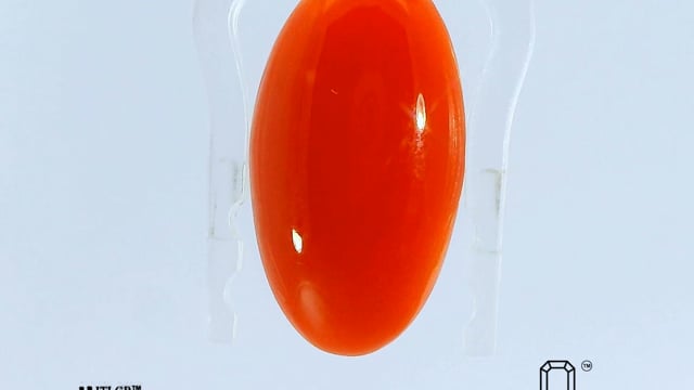 Video 1