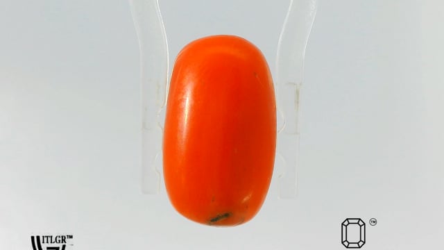 Video 1