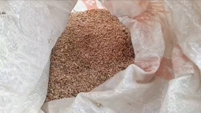 पीडीएस की साख पर सवाल! लाभुक ने खोली राशन में घटिया गुणवत्ता और कम तौल का मामला