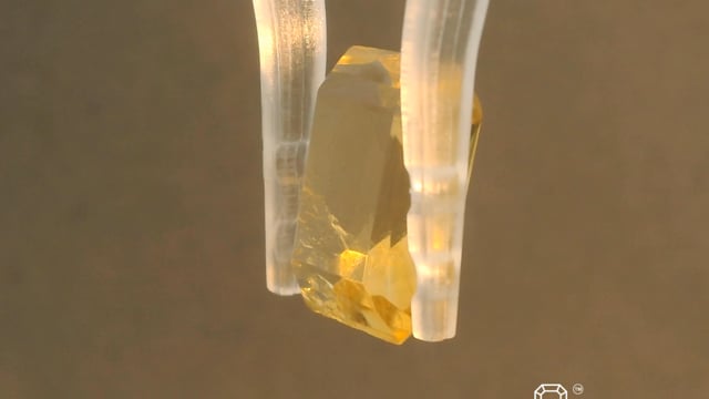Video 1